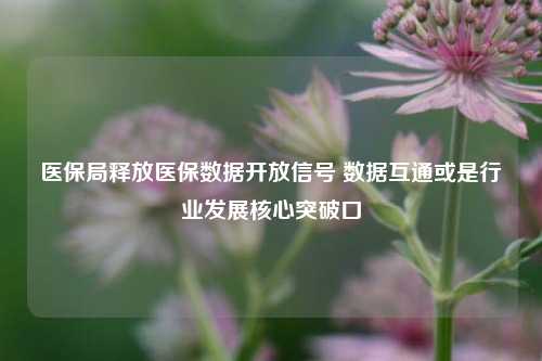 医保局释放医保数据开放信号 数据互通或是行业发展核心突破口-第1张图片-合肥慧帆商贸有限公司