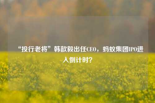 “投行老将”韩歆毅出任CEO，蚂蚁集团IPO进入倒计时？-第1张图片-合肥慧帆商贸有限公司