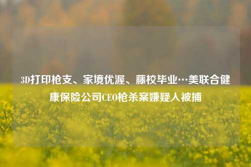 3D打印枪支、家境优渥、藤校毕业…美联合健康保险公司CEO枪杀案嫌疑人被捕-第1张图片-合肥慧帆商贸有限公司