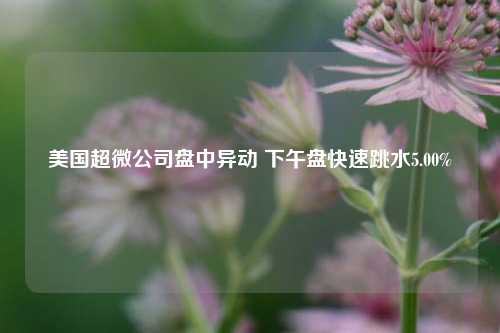 美国超微公司盘中异动 下午盘快速跳水5.00%-第1张图片-合肥慧帆商贸有限公司