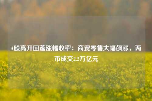 A股高开回落涨幅收窄：商贸零售大幅飙涨，两市成交2.2万亿元-第1张图片-合肥慧帆商贸有限公司