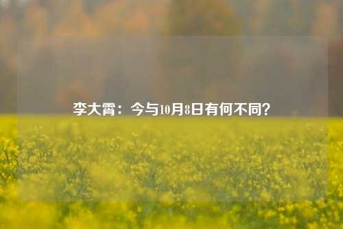 李大霄：今与10月8日有何不同？-第1张图片-合肥慧帆商贸有限公司