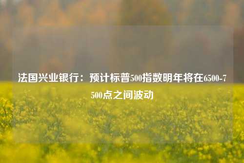 法国兴业银行：预计标普500指数明年将在6500-7500点之间波动-第1张图片-合肥慧帆商贸有限公司