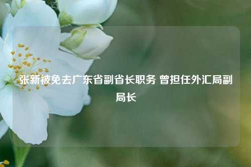 张新被免去广东省副省长职务 曾担任外汇局副局长-第1张图片-合肥慧帆商贸有限公司