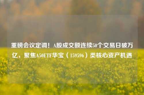 重磅会议定调！A股成交额连续50个交易日破万亿，聚焦A50ETF华宝（159596）类核心资产机遇-第1张图片-合肥慧帆商贸有限公司