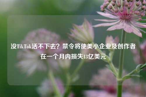 没TikTok活不下去？禁令将使美小企业及创作者在一个月内损失13亿美元-第1张图片-合肥慧帆商贸有限公司