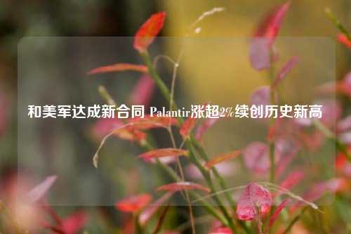 和美军达成新合同 Palantir涨超2%续创历史新高-第1张图片-合肥慧帆商贸有限公司