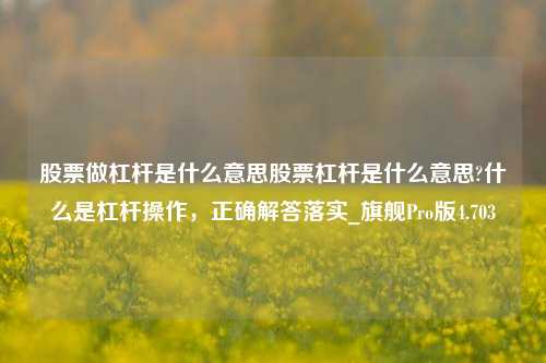 股票做杠杆是什么意思股票杠杆是什么意思?什么是杠杆操作，正确解答落实_旗舰Pro版4.703-第1张图片-合肥慧帆商贸有限公司