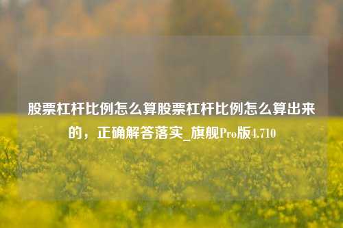 股票杠杆比例怎么算股票杠杆比例怎么算出来的，正确解答落实_旗舰Pro版4.710-第1张图片-合肥慧帆商贸有限公司