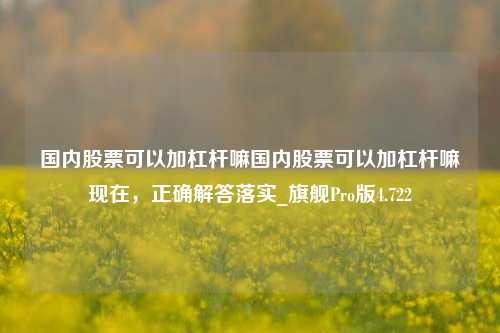 国内股票可以加杠杆嘛国内股票可以加杠杆嘛现在，正确解答落实_旗舰Pro版4.722-第1张图片-合肥慧帆商贸有限公司