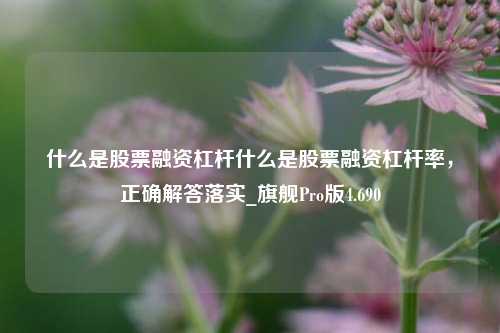 什么是股票融资杠杆什么是股票融资杠杆率，正确解答落实_旗舰Pro版4.690-第1张图片-合肥慧帆商贸有限公司