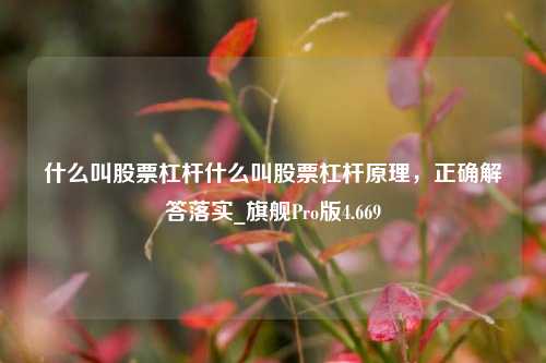 什么叫股票杠杆什么叫股票杠杆原理，正确解答落实_旗舰Pro版4.669-第1张图片-合肥慧帆商贸有限公司