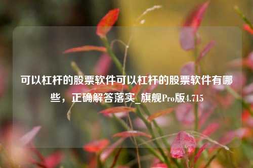 可以杠杆的股票软件可以杠杆的股票软件有哪些，正确解答落实_旗舰Pro版4.715-第1张图片-合肥慧帆商贸有限公司