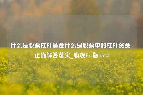 什么是股票杠杆基金什么是股票中的杠杆资金，正确解答落实_旗舰Pro版4.724-第1张图片-合肥慧帆商贸有限公司